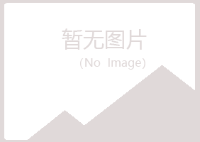 平顶山雅琴化学有限公司